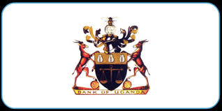 Partner organizations